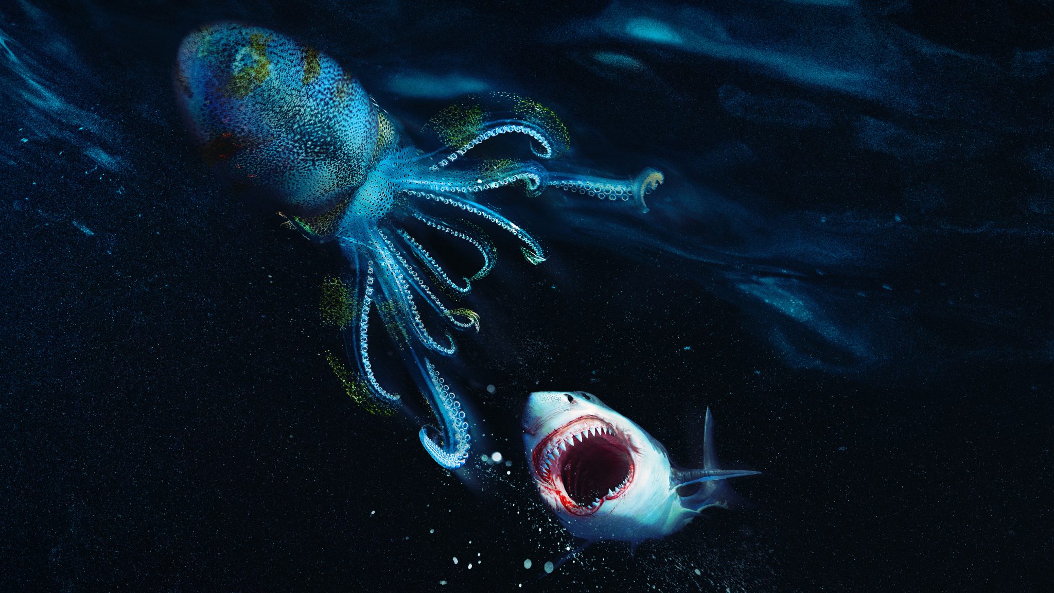 Jaws vs Kraken Discovery UK