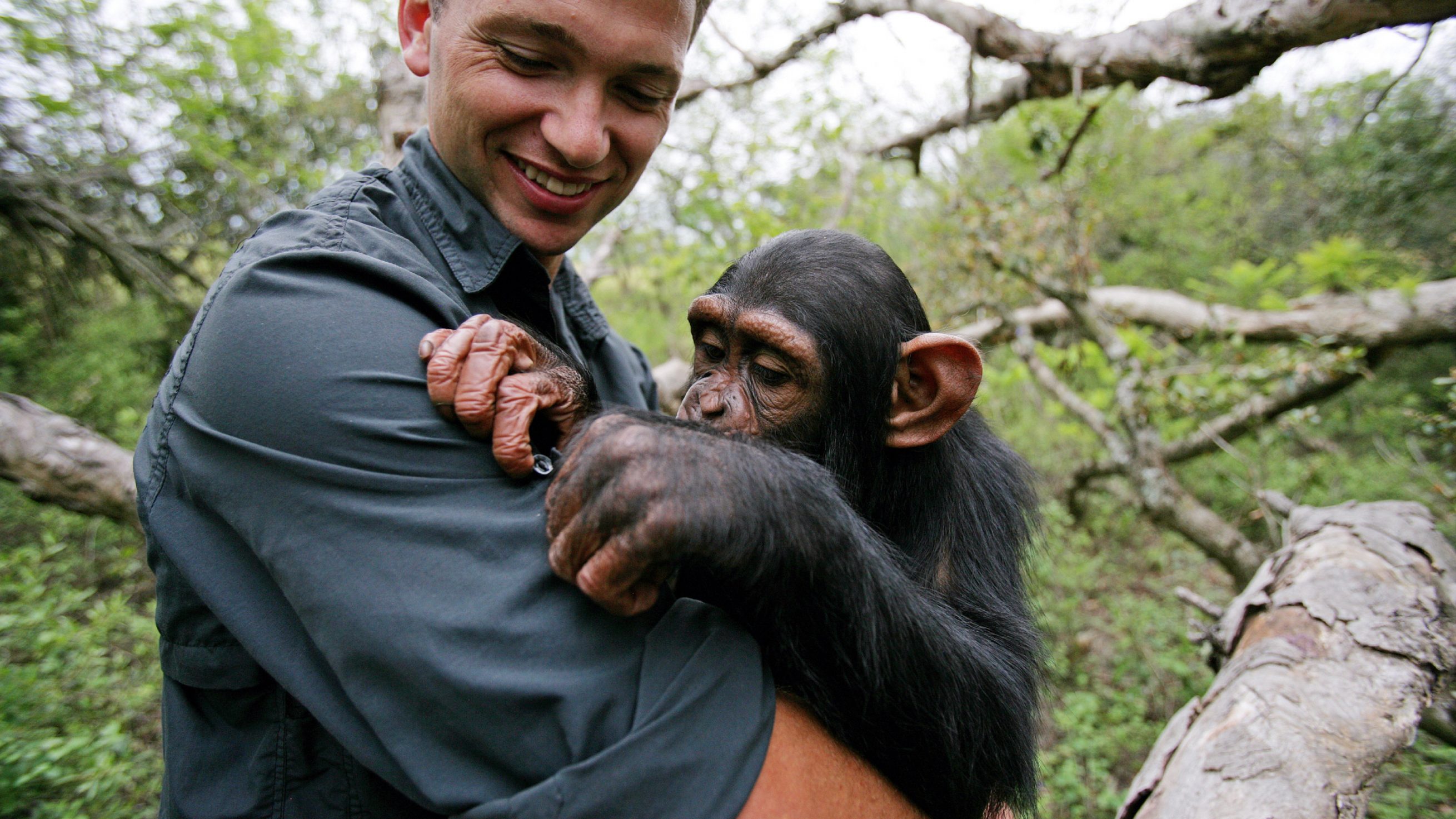 Escape to Chimp Eden Discovery UK