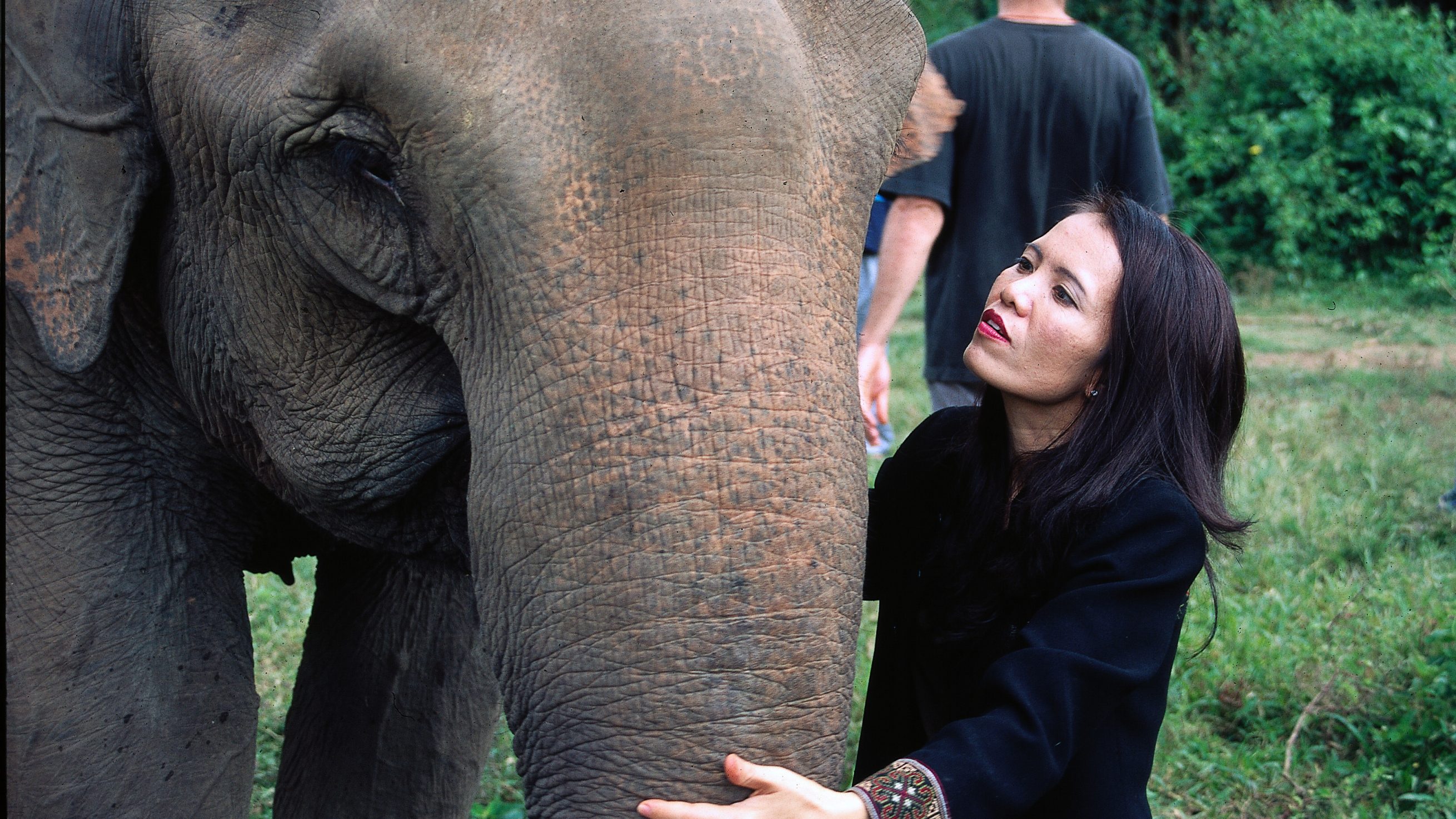 Elephant Rescue Discovery UK