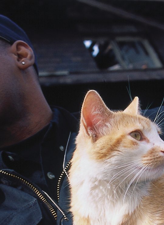 Animal Cops Discovery UK