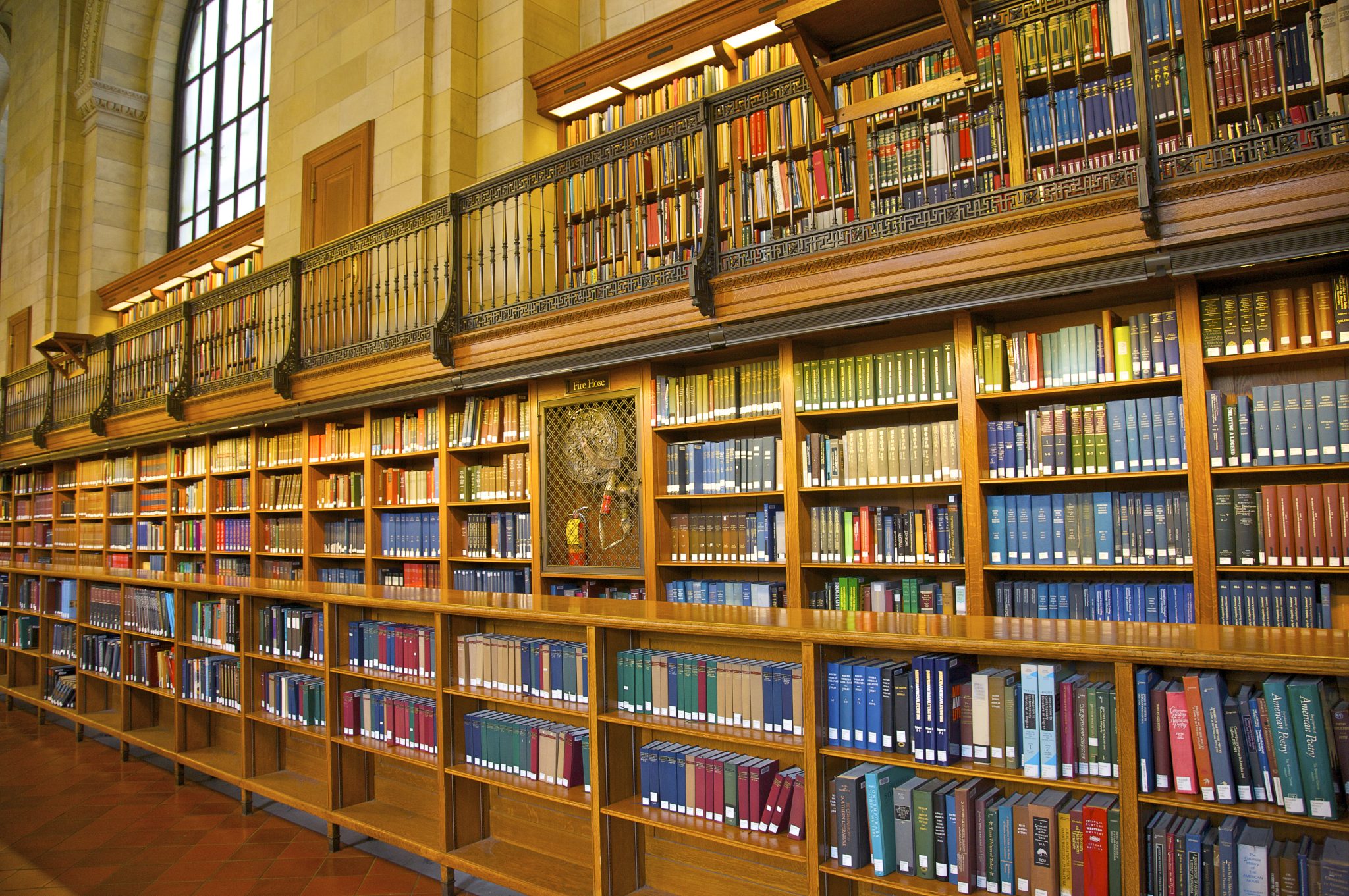 The Biggest Library In The World Discovery UK