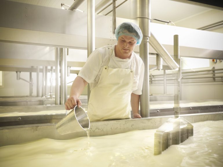 How Cheese is Made Discovery UK