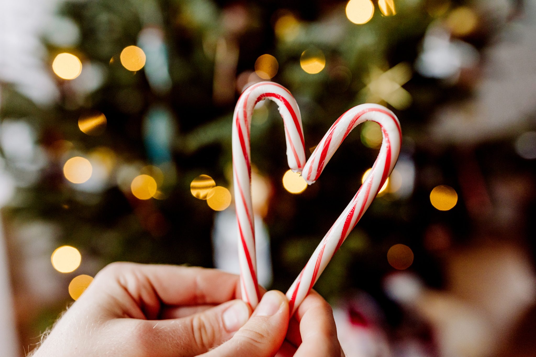 How Candy Canes are Made Discovery UK