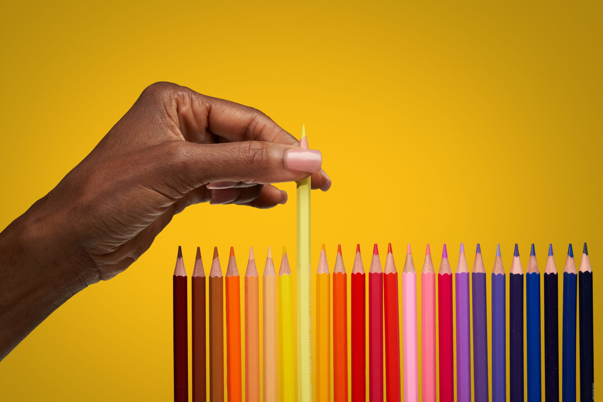 The Biggest Pencil in the World Discovery UK