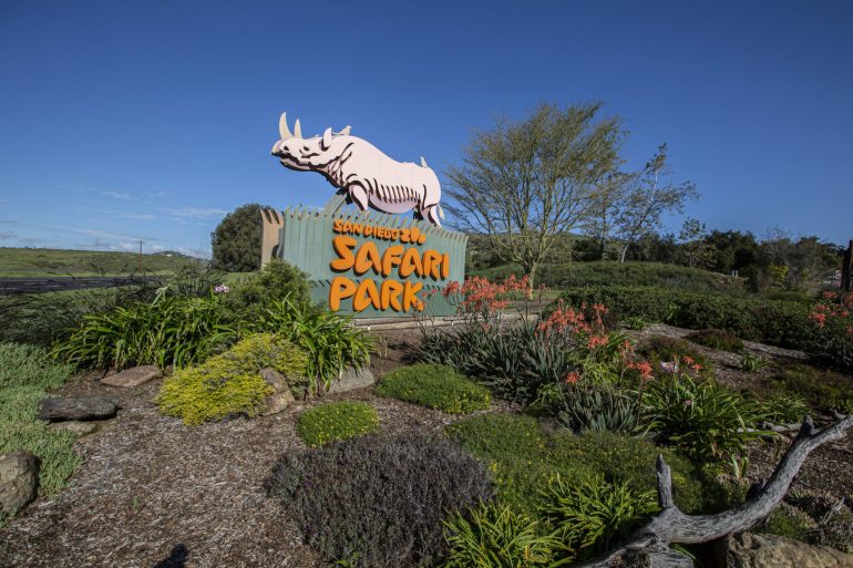 The Biggest Zoo in the World Discovery UK