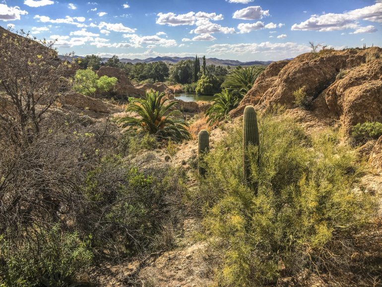 The Largest Botanical Garden in the World Discovery UK