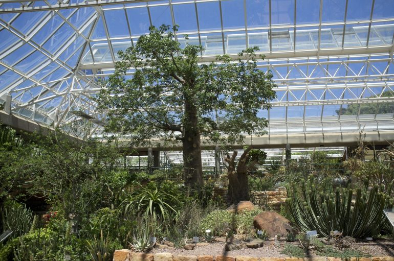 The Largest Greenhouse in the World Discovery UK