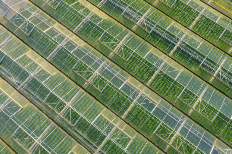 The Largest Greenhouse in the World Discovery UK